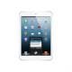  Apple 16GB iPad Mini with Wi-Fi and Cellular (White and Silver)